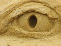 IMG_0066