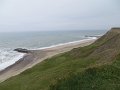 IMG_0102