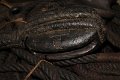 IMG_2456