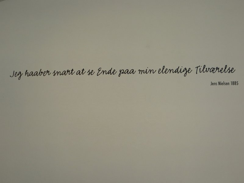 HorsensStatsfaensel09.JPG
