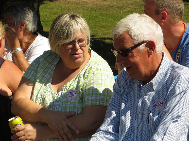 HorsensStatsfaensel40.JPG