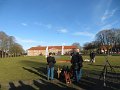 IMG_3701