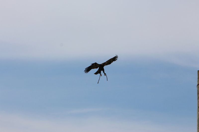 IMG_4647.JPG